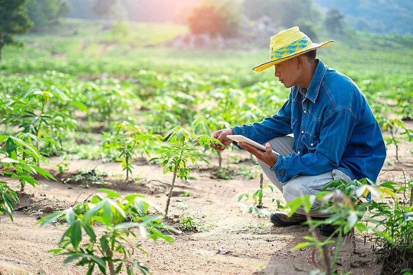 petani petani
